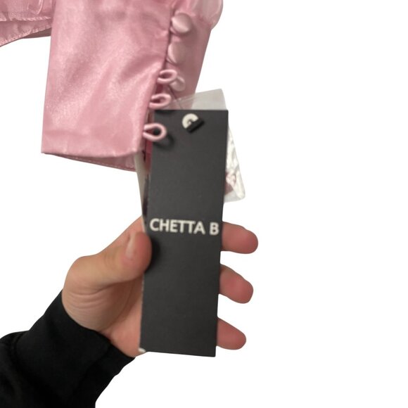 Chetta B Women Blouse Sheer Pink Ruffle Pleated Long Sleeve Polyester Size 6 NWT - Picture 5 of 10